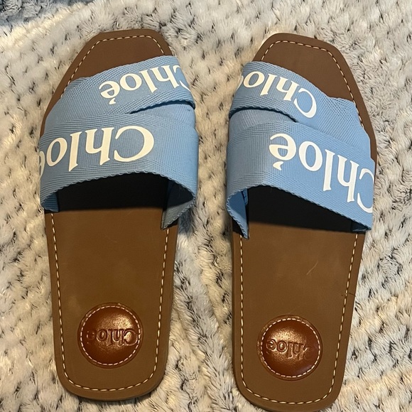 Slide Sandals Chloe Sandals Blue Chloe Shoes Chloe Woody Flat Mule
